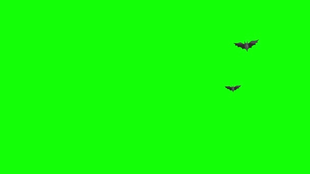 Halloween Bat Flying Loop Motion Graphics Video Transparent Background Alpha — Stockvideo