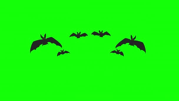 Halloween Bat Flying Loop Motion Graphics Video Transparent Background Alpha — Stockvideo