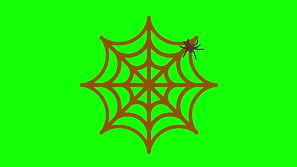 蜘蛛网络上的蜘蛛移动图形视频透明背景 带有Alpha通道 — 图库视频影像