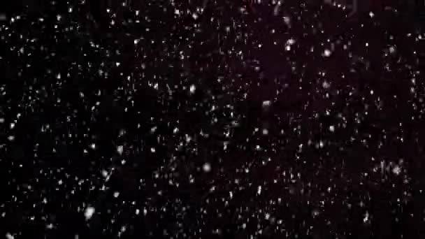 Fiocchi Neve Sovrappongono Inverno Lentamente Caduta Effetto Neve Particelle Polvere — Video Stock