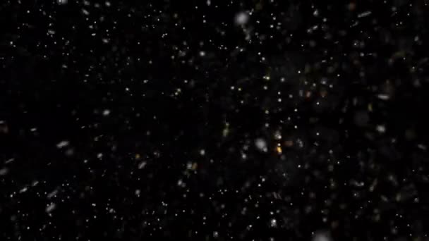 Śnieg Cząstki Pyłu Pokrywają Pływające Cząsteczki Błyszczące Czarnym Tłem — Wideo stockowe