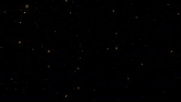 灰颗粒覆盖在有黑色背景的漂浮抛射粒子上 — 图库视频影像