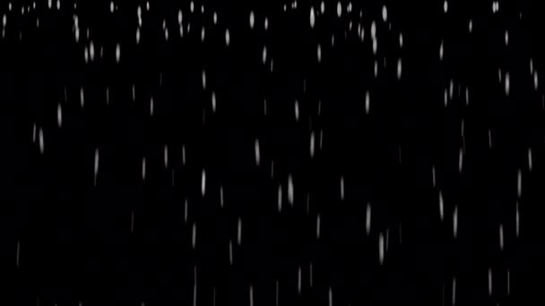 Şiddetli Yağmur Animasyon Yağışı Alfa Kanallı Şeffaf Arkaplan Düşürüyor — Stok video