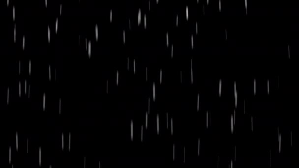 Şiddetli Yağmur Animasyon Yağışı Alfa Kanallı Şeffaf Arkaplan Düşürüyor — Stok video