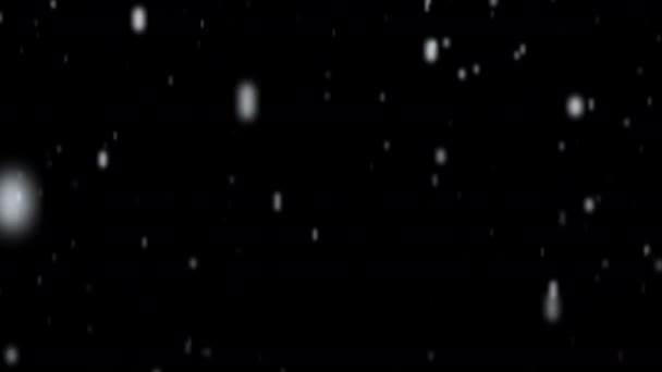 Lluvia Nieve Animación Lluvia Cayendo Fondo Transparente Con Canal Alfa — Vídeos de Stock