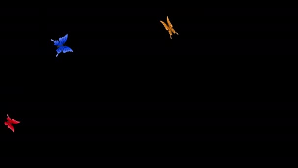 Monarch Borboleta Voando Animação Loop Sem Costura Fundo Transparente Com — Vídeo de Stock