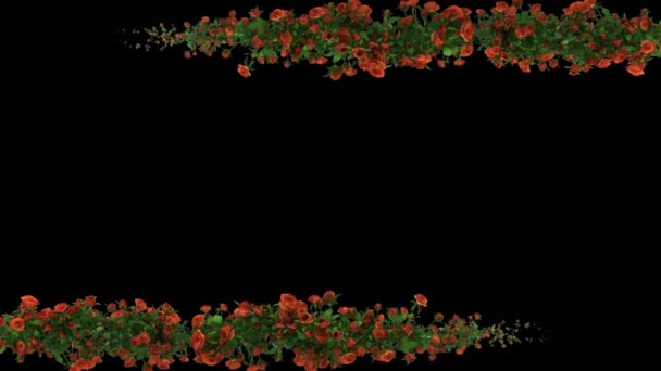Kwiat Róży Pozioma Powtarzalna Granica Kanałem Alfa Przezroczyste Tło — Wideo stockowe