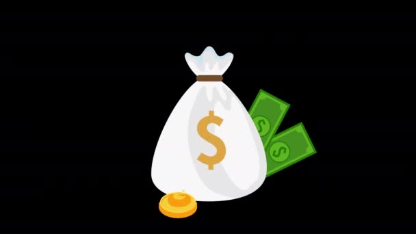 Sac Argent Pièces Dollars Billets Épargne Concept Animation Avec Alpha — Video