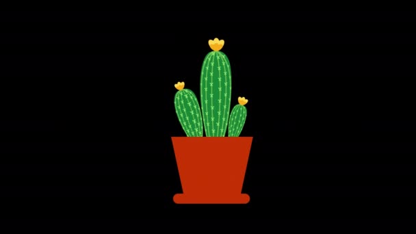 Горшок Кактуса Растение Зелеными Листьями Иконка Концепции Анимации Видео Альфа — стоковое видео