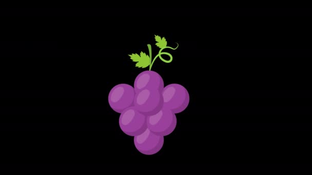 Fioletowe Winogrona Zielonymi Liśćmi Koncepcja Animacji Kanałem Alfa — Wideo stockowe