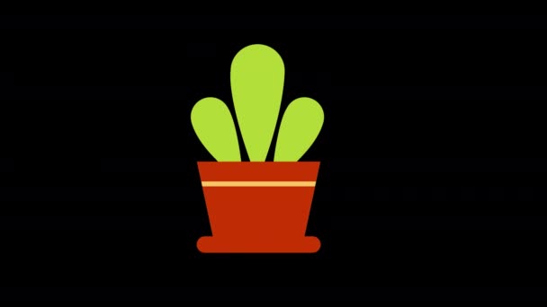 Uma Planta Cacto Vaso Com Folhas Verdes Ícone Conceito Loop — Vídeo de Stock