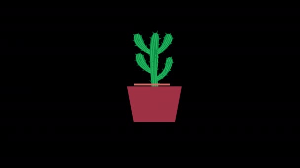 Kaktus Animacji Koncepcyjnej Ikony Garnka Kanałem Alfa — Wideo stockowe