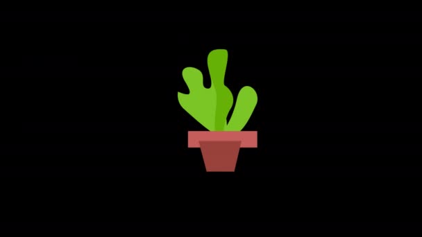 Ein Kaktus Topf Icon Konzeptanimation Mit Alphakanal — Stockvideo