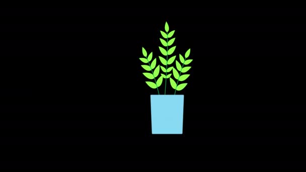 Planta Árvore Folhas Voando Ícone Loop Animação Vídeo Transparente Fundo — Vídeo de Stock
