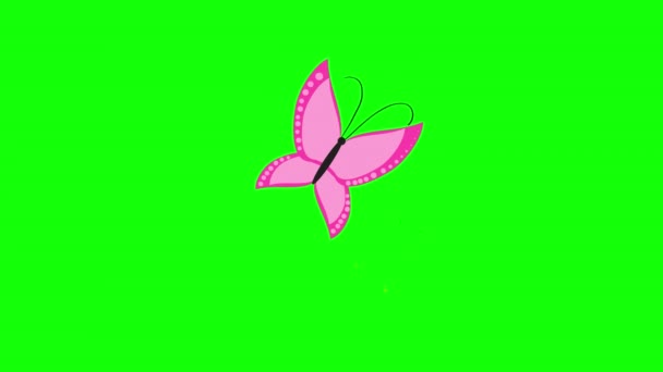 Par Mariposas Icono Concepto Bucle Animación Vídeo Con Canal Alfa — Vídeos de Stock