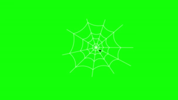 Spider Web Icon Concept Loop Animation Video Alpha Channel — Stock Video