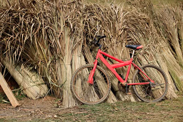 泰国清迈的Norlae村 一辆红色的旧自行车停在干草旁 — 图库照片