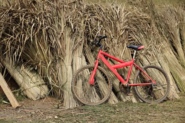 Vecchia Bicicletta Rossa Parcheggiata Contro Erba Secca Nel Villaggio Norlae Foto Stock