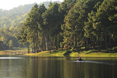 Tham Pla Ulusal Parkı 'ndaki güzel çam ağacı manzarası - Tayland' ın Mae Hong Son Eyaleti 'ndeki Pha Suea Şelalesi (Pang Ung)