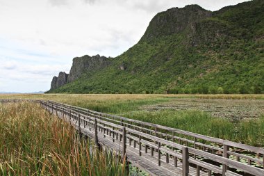 Khao Sam Roi Yot Ulusal Parkı 'ndaki Güzel Doğa Patikası ve Küçük Pavilionlar. Prahuap Khiri Khan Eyaleti, Tayland 