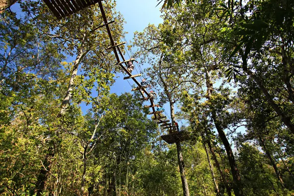 Asyalı turistler Ban Mae Wang, Chiang Mai, Tayland 'da bir teleferik hattında macera yaşıyorlar.