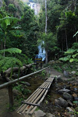 Tayland 'ın Chiang Mai eyaletindeki Doi Inthanon Ulusal Parkı' ndaki Siri Phum Şelalesi 'nin güzel doğası. 