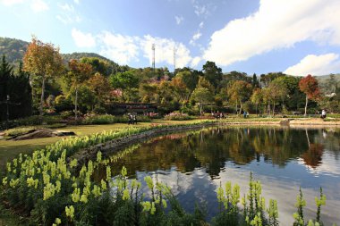 Royal Garden 'ın güzel doğası Siri Phum ve Royal 80 Garden Inthanon Royal Project, Chiang Mai Eyaleti, Tayland