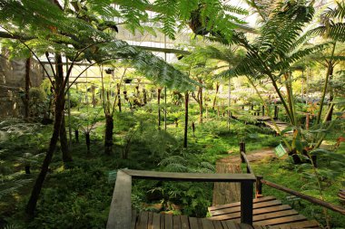 Royal Garden 'ın güzel doğası Siri Phum ve Royal 80 Garden Inthanon Royal Project, Chiang Mai Eyaleti, Tayland