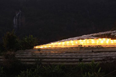 Doi Inthanon, Chiang Mai Eyaleti, Tayland 'daki Kraliyet Tarım İstasyonu' nda çiçek ve sebze ekimi. 