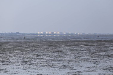 Deniz seviyesi düştüğünde çamurlu deniz manzarası Ban Pak Thale, Ban Laem District, Phetchaburi Eyaleti, Tayland 