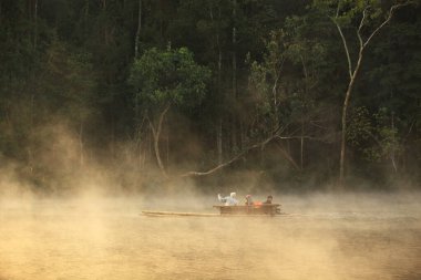 Güzel doğa gölü ve ormanı, Pang oung gölü ve çam ormanı Mae Hong Son, Tayland, Tham Pla Ulusal Parkı - Pha Suea Şelalesi (Pang Ung)