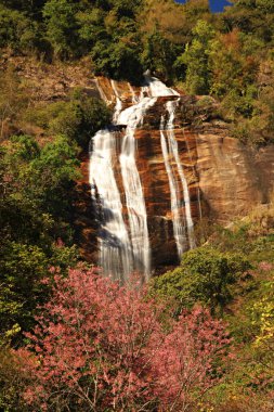 Tayland 'ın Chiang Mai eyaletindeki Doi Inthanon Ulusal Parkı' ndaki Siri Phum Şelalesi 'nin güzel doğası. 