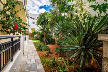 Huzurlu bir bahçe, Bougainvillea 'nın canlı renkleri, Dracaena' nın zarif varlığı ve bir Ficus ağacının yapraklı zarafeti ile süslenmiş evin yanındaki bölgeyi süslüyor.