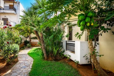 Tropikal bir cennet, evin yanında yuva yapar. Zarif palmiye ağaçları ve egzotik papayalar gibi gür Akdeniz bitkilerine ev sahipliği yapar. Seyahat broşürleri ve bahçe dergileri için ideal.