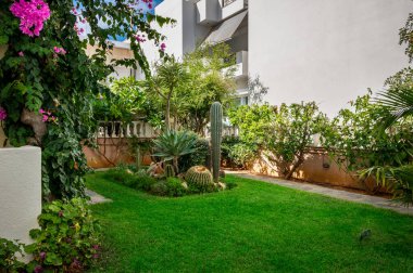 Çiçek yatağı arka bahçede, canlı kaktüsler ve diğer eşsiz numuneler de dahil olmak üzere bir dizi egzotik bitkiyle süslenmiş bir şekilde sahne alır. Bu resim bahçe ve peyzaj projeleri için mükemmel..