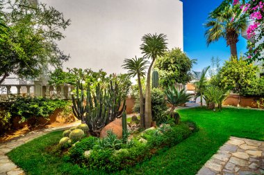 Çiçek yatağı arka bahçede, canlı kaktüsler ve diğer eşsiz numuneler de dahil olmak üzere bir dizi egzotik bitkiyle süslenmiş bir şekilde sahne alır. Bu resim bahçe ve peyzaj projeleri için mükemmel..