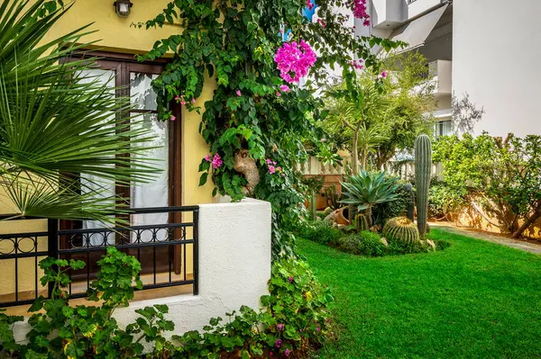 Mediterranean Garden Paradise Next to Home. Vibrant bougainvillea blooms add a burst of color, creating a picturesque haven perfect for travel brochures. and gardening magazines.