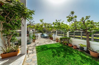 Taş ve çimen alanlarının uyumlu bir karışımına sahip bir Yunan kır evinin standart arka bahçesi. Yunan kırsalında yaşamanın özünü yakalıyor