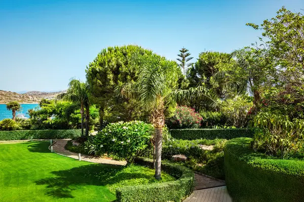 stock image Serene Mediterranean seaside garden with lush, vibrant greenery. Foliage is rich and dense, with the deep green of the leaves contrasting beautifully against the bright. Mediterranean shimmer 