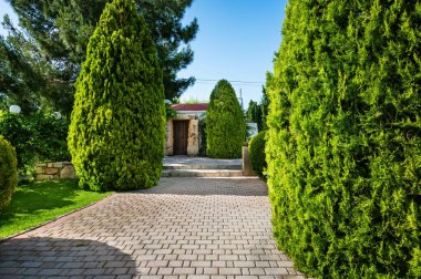 Taş girişi, yemyeşil, küçük ve büyüleyici bir kiliseye açılıyor. Manzara aydınlık ve huzurlu, güneş ışığı kiliseyi aydınlatıyor ve etraf canlı yapraklarla dolu, dingin ve davetkar.