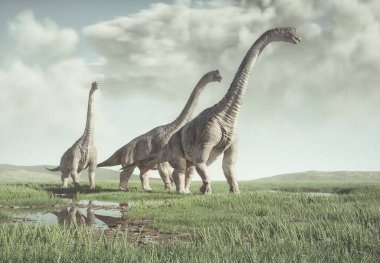 Doğadaki Brachiosaurus türleri. Bu 3 boyutlu bir çizim..