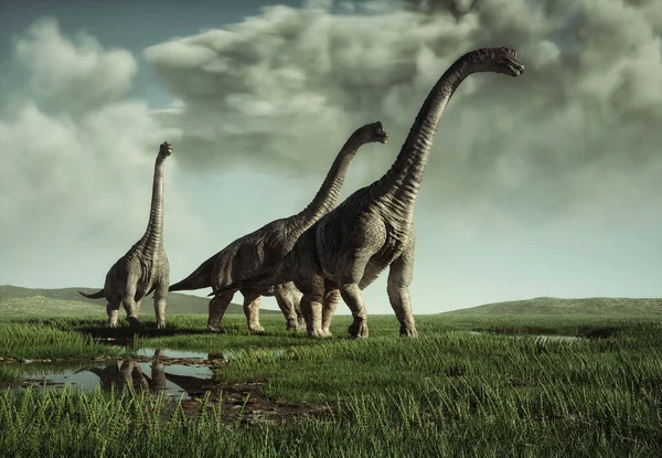 Gatunki Brachiosaurus Przyrodzie Jest Ilustracja Renderowania — Zdjęcie stockowe
