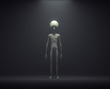 Alien on dark foggy background. Unknown and ufo concept. This is a 3d render illustration.