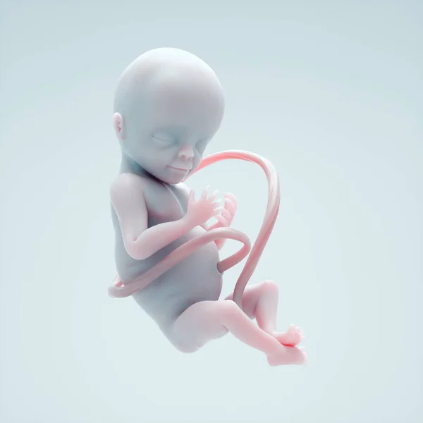 Conceptual Image Fetus Fertility Science Concept Render Illustration — Zdjęcie stockowe
