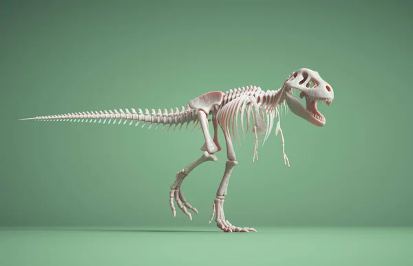 Szkielet Rex Odizolowany Zielonym Tle Jest Ilustracja Renderowania — Zdjęcie stockowe