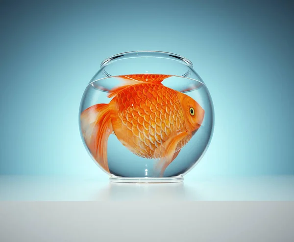 A goldfish in a small bowl. The concept of captivity. This is a 3d render illustration