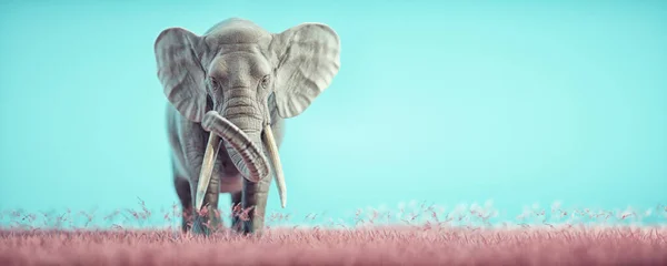 Elefante Sobre Fundo Cor Esta Uma Ilustração Renderização — Fotografia de Stock