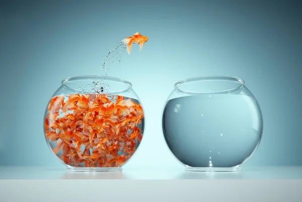 Others Different Concept Goldfish Jumping Bigger Fish Bowl Render Illustration — Stock Photo, Image