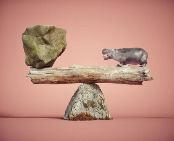 Hipopótamo Equilibrio Con Una Gran Roca Concepto Mentalidad Habilidad Esta —  Fotos de Stock