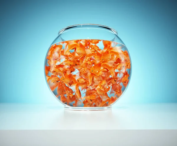 Lots Goldfish Bowl Blue Background Concept Captivity Render Illustration — Stock Photo, Image